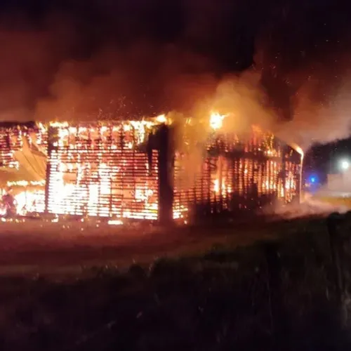 JOURNAL DU VENDREDI 25 FEVRIER ( MIDI )